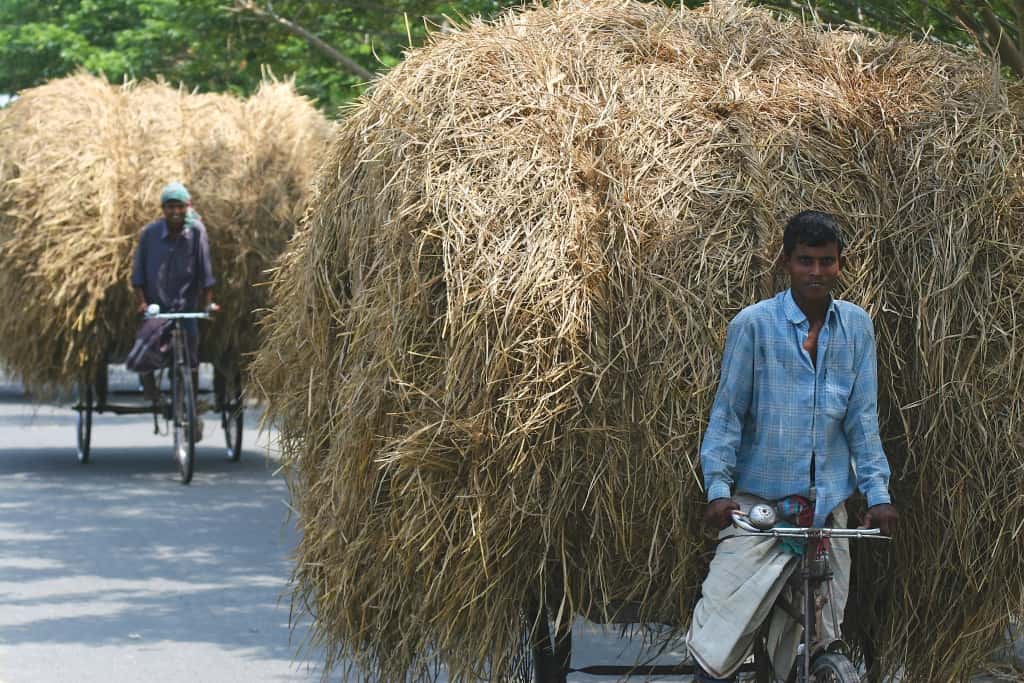 Bangladesh-Locals